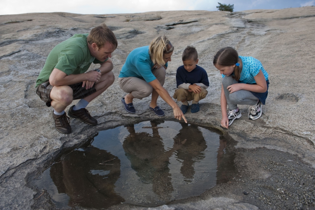 Steep Steps on the Stone Mountain Loop